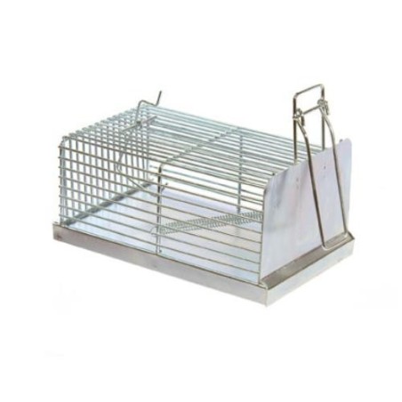 TRAMPA CINCADA PARA RATAS 200X120X9