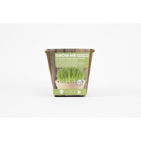 KIT SIEMBRA GROW ME HIERBA GATOS 10GR