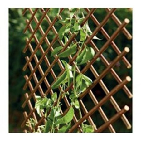 CELOSIA EXTENSIBLE DE MIMBRE 1X2 M 250017