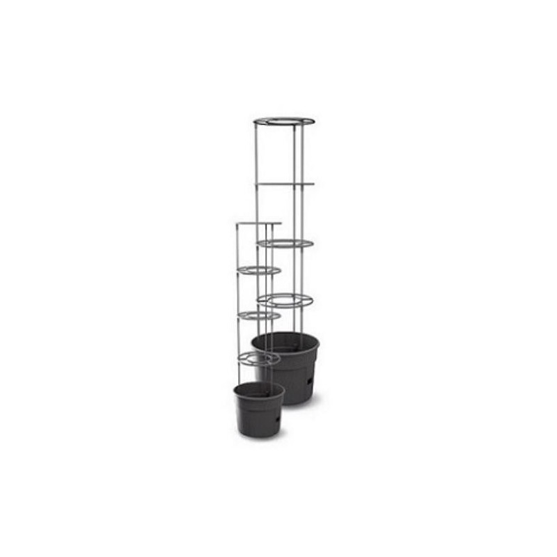 MACETA C/ESTRUCTURA PARA CULTIVAR TOMATES EN CASA