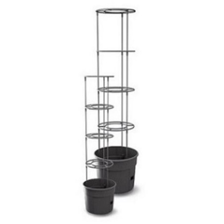 MACETA C/ESTRUCTURA PARA CULTIVAR TOMATES EN CASA