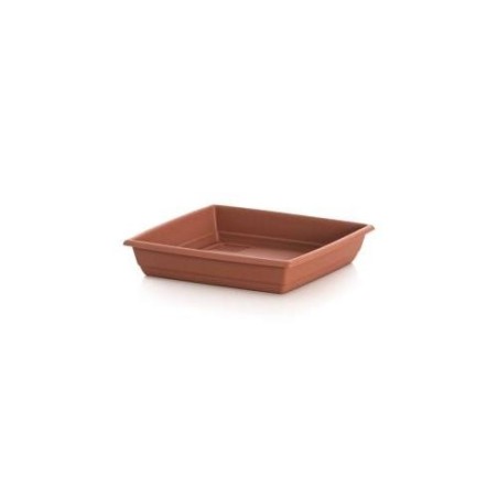 PLATO CUADRADO GARDENIA 17 X 17 509037