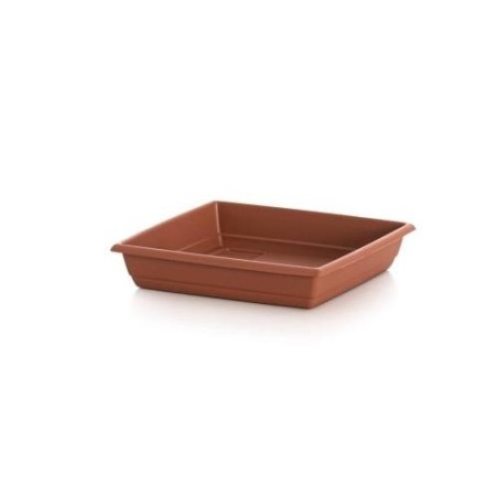 PLATO CUADRADO GARDENIA 21 X 21 509038