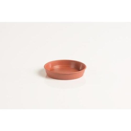 PLATO GARDENIA 8 CENTIMETROS PARA MACETA 10CM