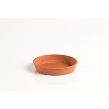 PLATO GARDENIA 10CM PARA MACETA 14CM