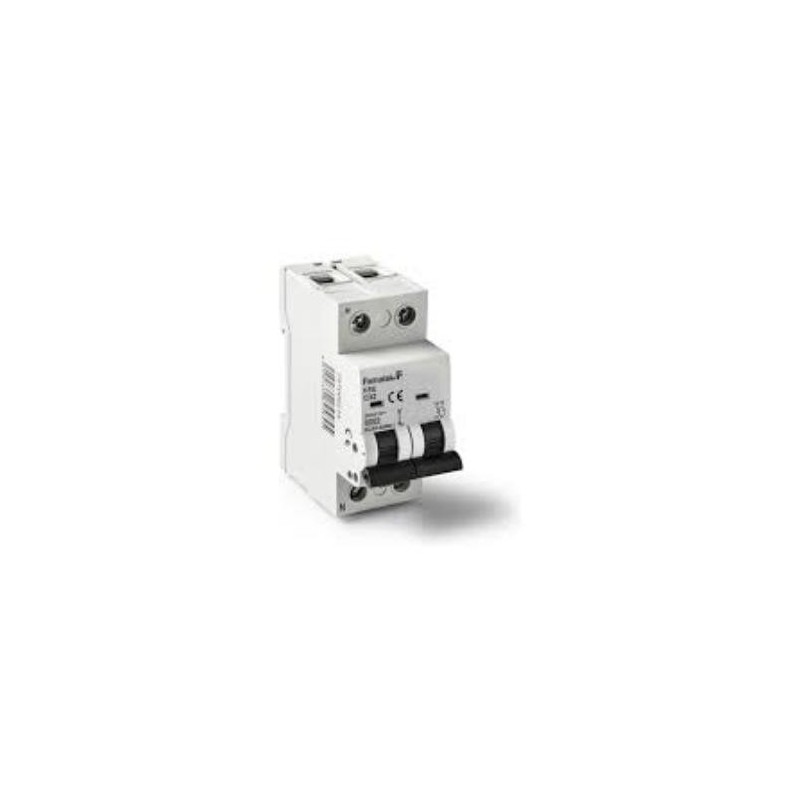MAGNETOTERMICO1P+N 40 AMPERIOS 257000054