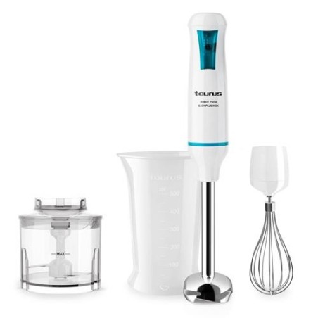 BATIDORA  VARILLA ROBOT 750 EASY PLUS INOX