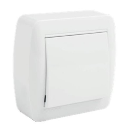 INTERRUPTOR BIPOLAR 10AX 250V. SUPERF.BCO. MUR22U