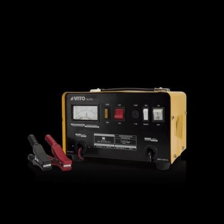 CARGADOR DE BATERIA 12/24 V VICB16S