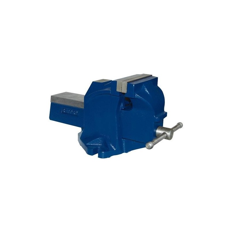 TORNILLO BANCO 100 MM.  RECORD TON-E-B