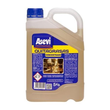 QUITAGRASAS PROFESIONAL CONCENTRADO 5 L. 26161