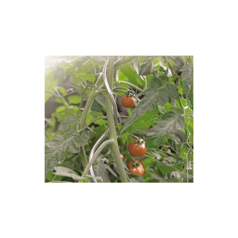 TUTOR ESPIRAL PARA TOMATES DIAM.7 180 CM GALVANIZA