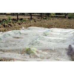 VELO DE CRECIMIENTO 2X10 M BLANCO - 17 G/M2 213134